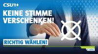 CSU Waehlen web